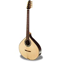 APC PTB310 Bouzouki portugués (funda incluida)